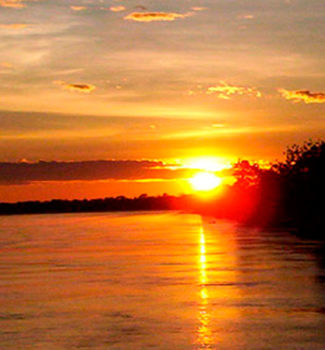 Tambopata Amazonia 05 Días